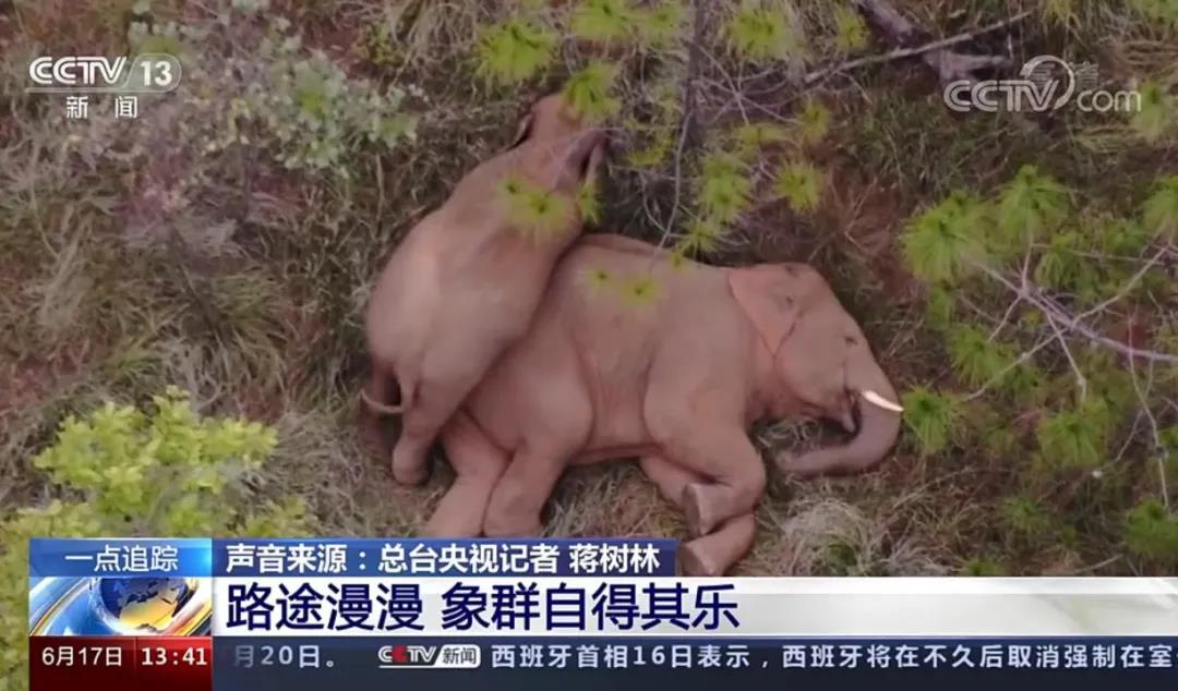 &#113;&#121;&#21315;&#20159;&#45;&#113;&#121;&#21315;&#20159;&#40;&#20013;&#22269;&#41;&#19968;&#31449;&#24335;&#26381;&#21153;&#23448;&#26041;&#32593;&#31449;